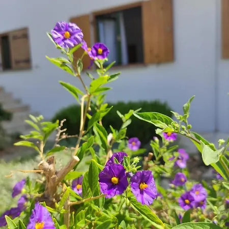 Ruzmarin Apartment Primosten